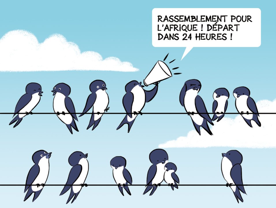 Campagne pédagogique des Éoliennes en Mer par l'agence Kromi Campagne pédagogique des Éoliennes en Mer par l'agence Kromi