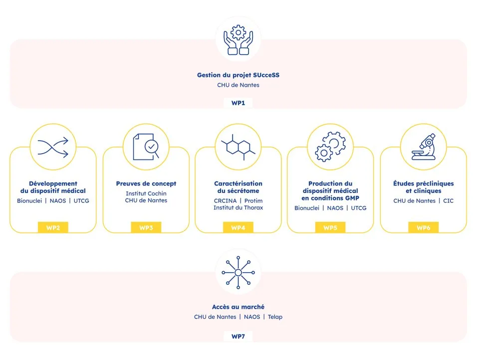 Site internet RHU SUccESS par l'agence Kromi